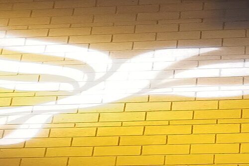 Lib Dem logo bird projected on blockwork