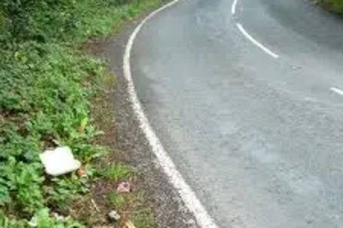 Roadside Litter