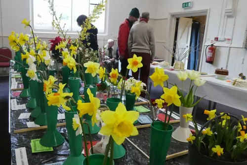 Wigginton Spring Show