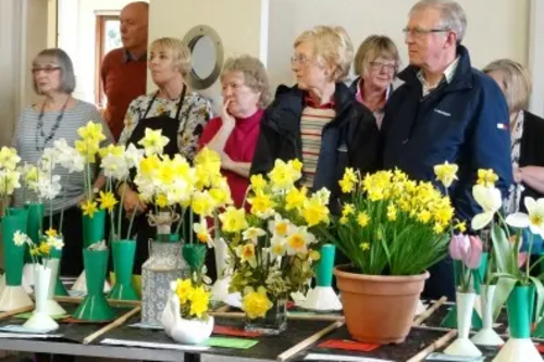 Wigginton Flower Show 2016