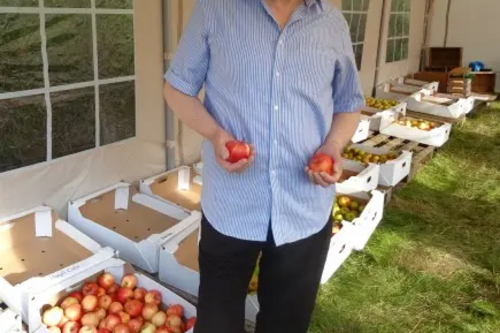 Apples at Tring Apple Day