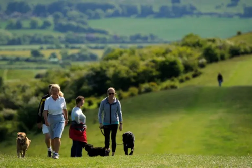 Ivinghoe Dog Walkers